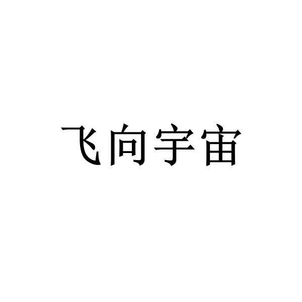 飞向宇宙