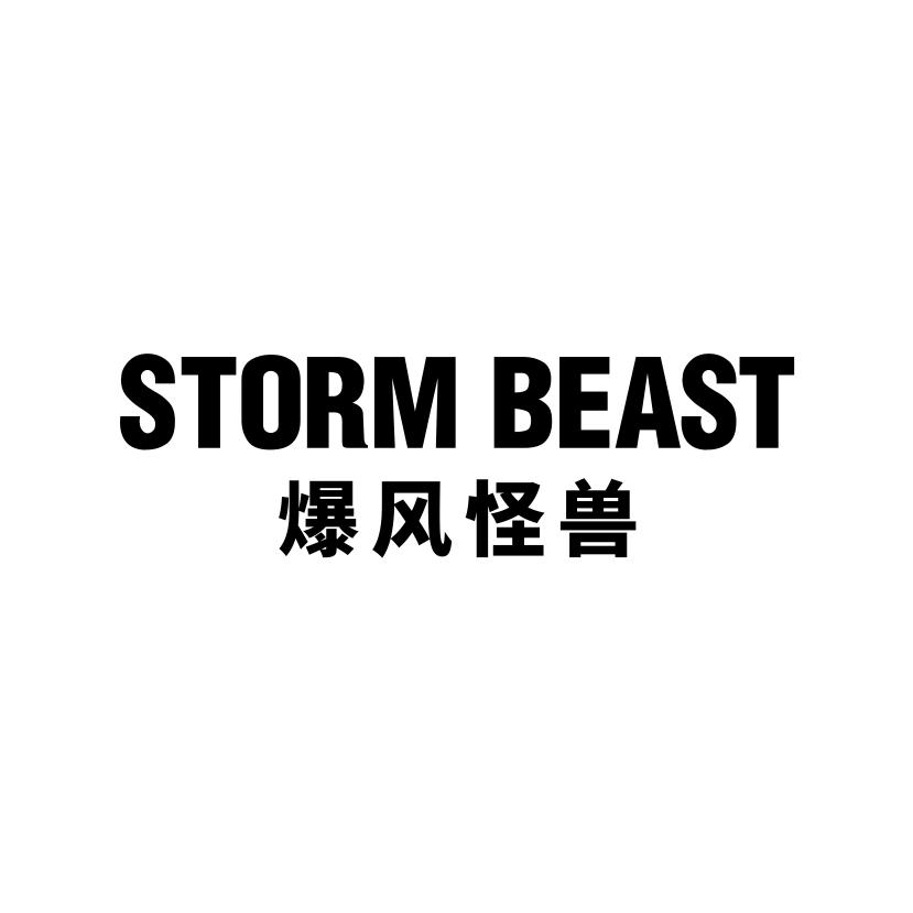 爆风怪兽 STORM BEAST