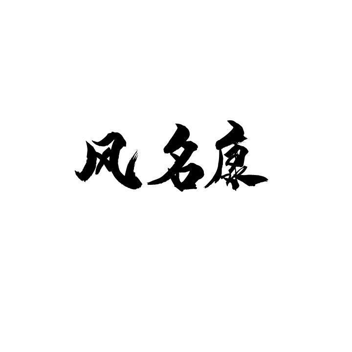 风名康