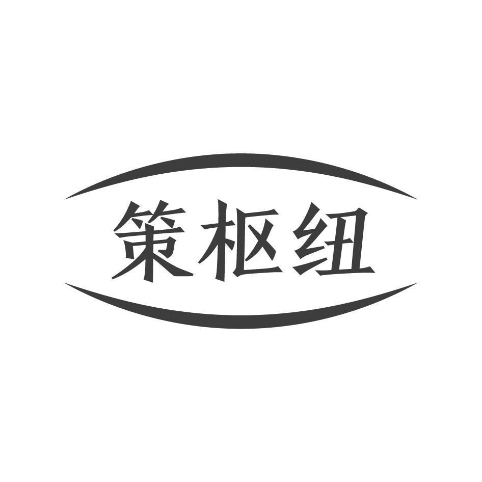 策枢纽