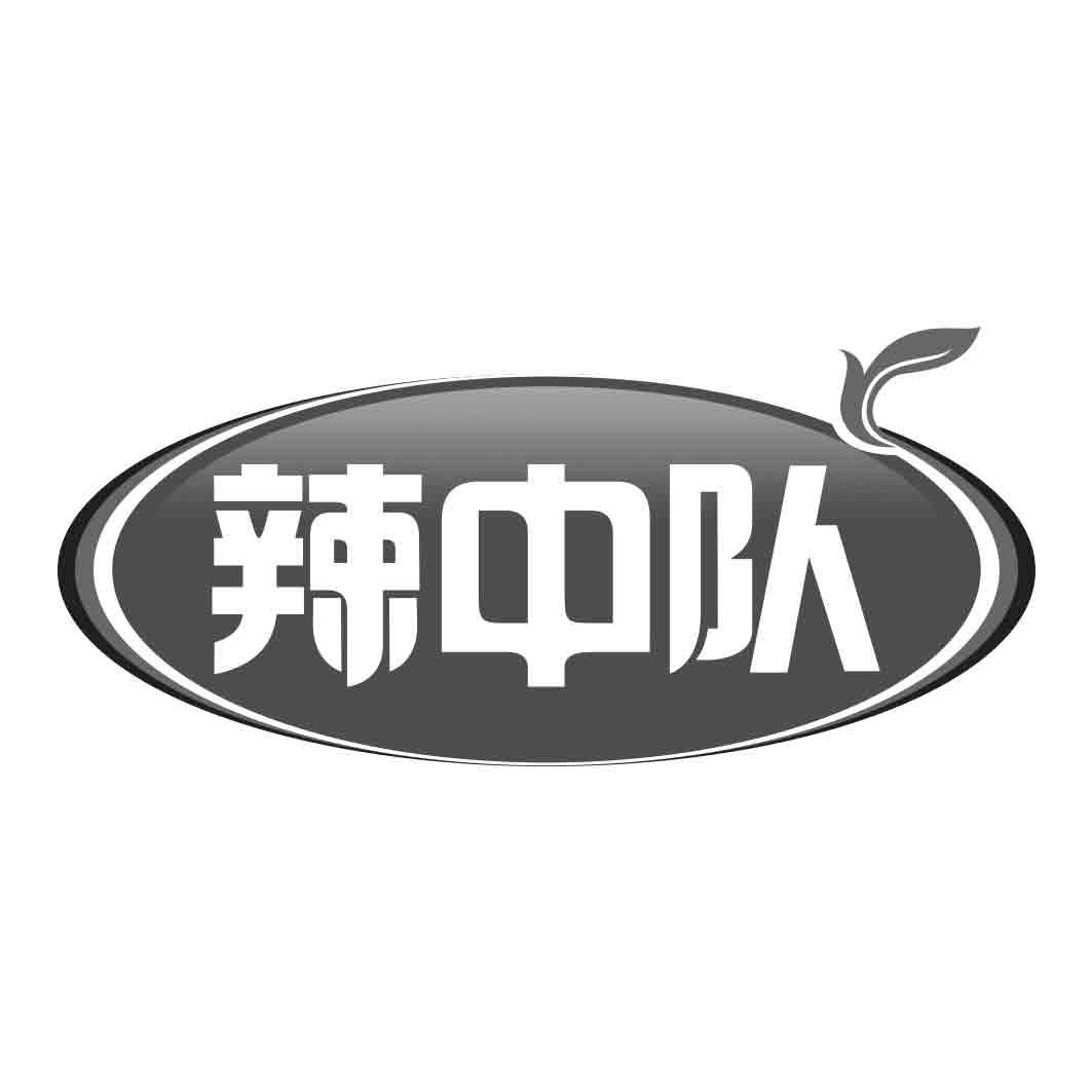 辣中队