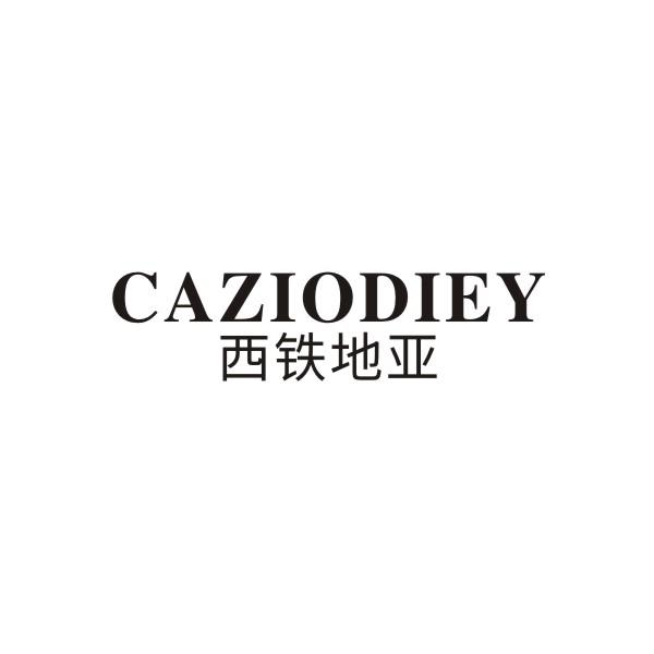 CAZIODIEY 西铁地亚