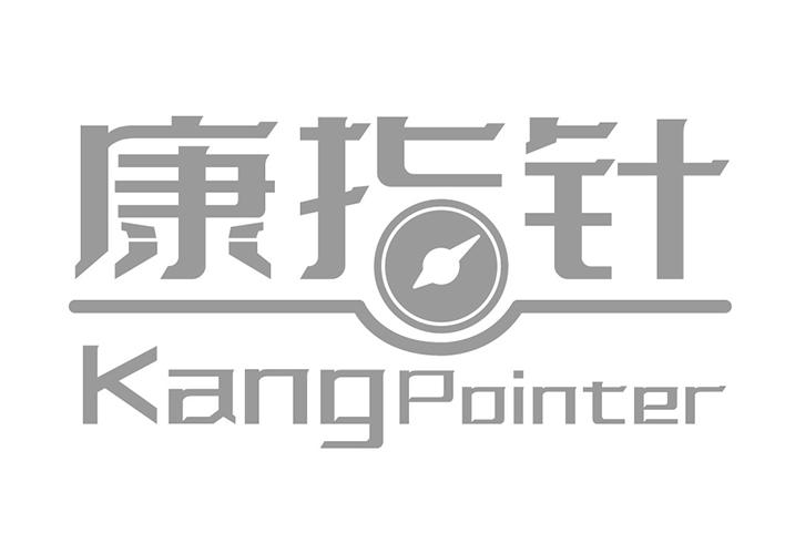 康指针KANGPOINTER 