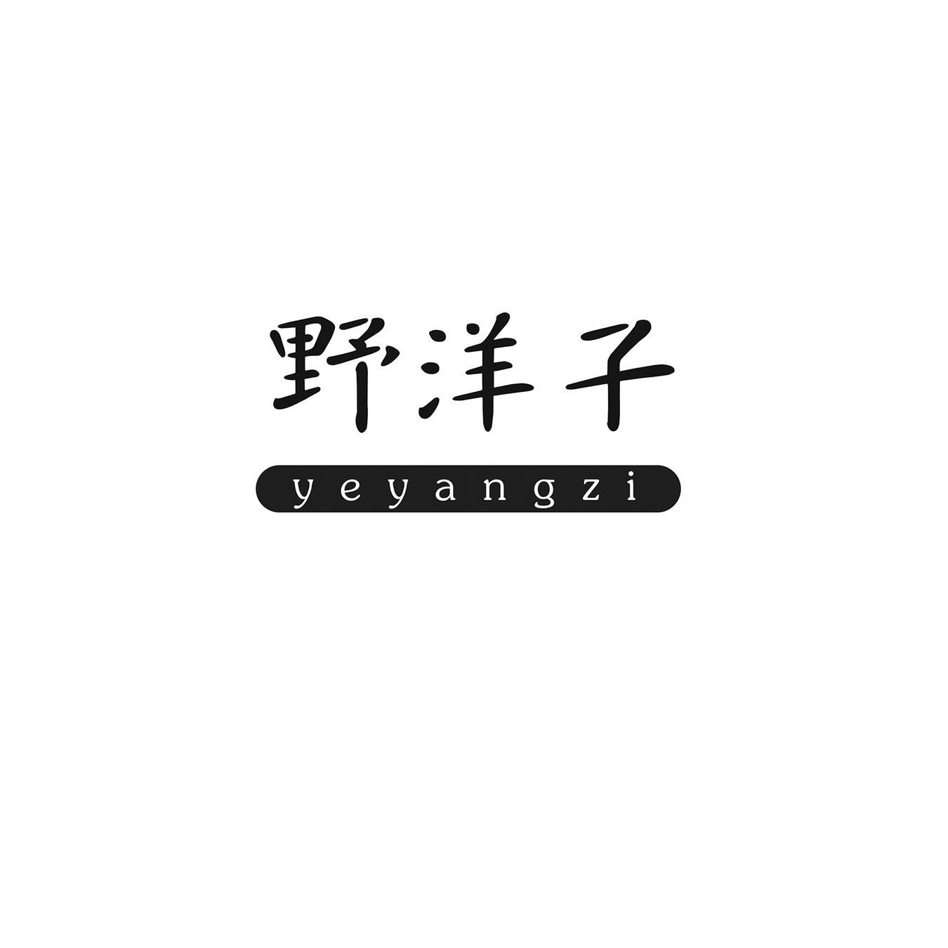 野洋子