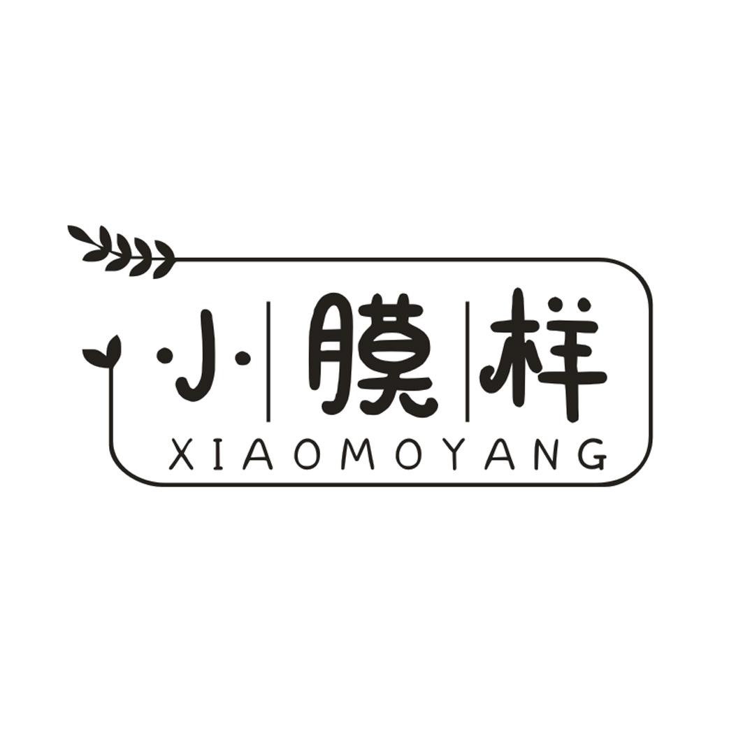 小膜样
