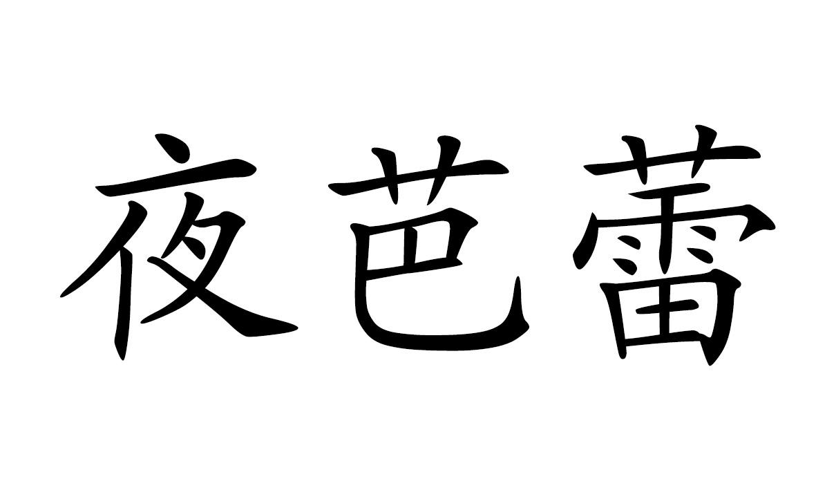夜芭蕾