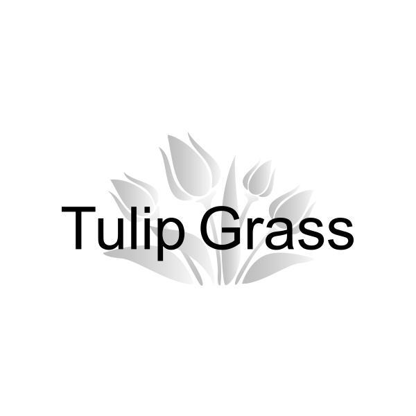 TULIP GRASS