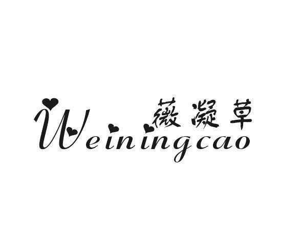薇凝草