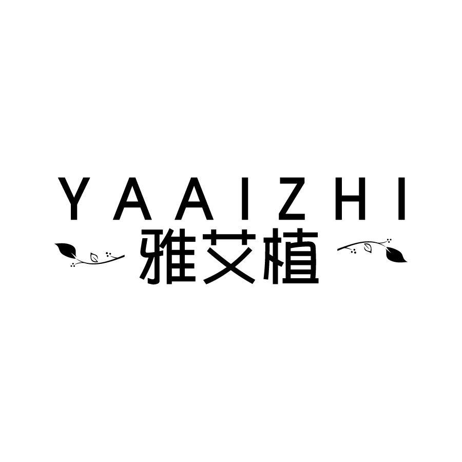 雅艾植