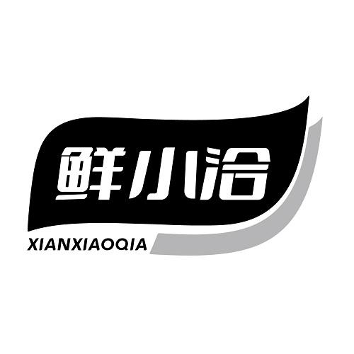 鲜小洽