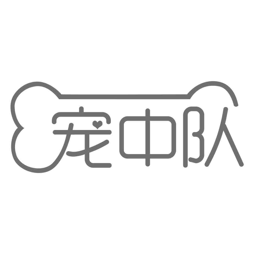 宠中队