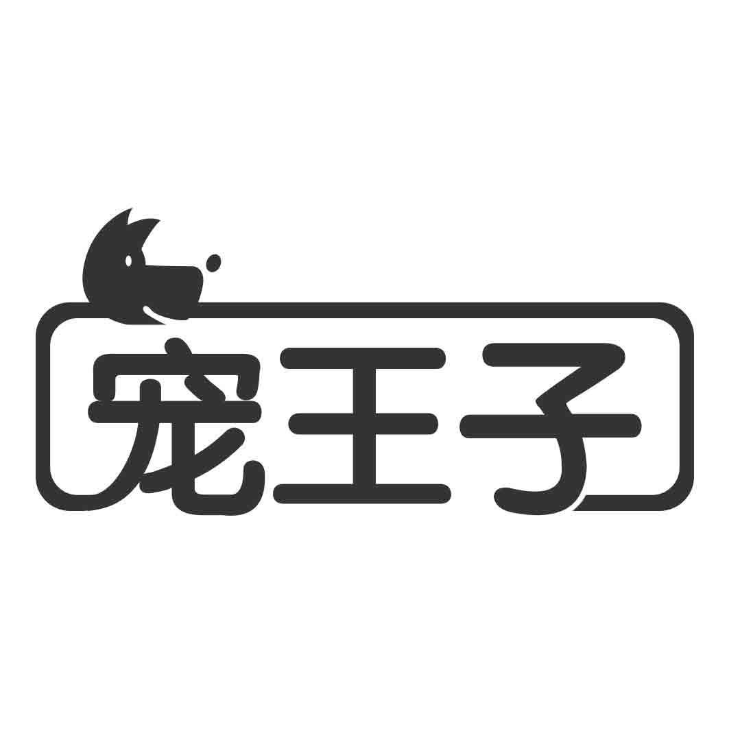 宠王子