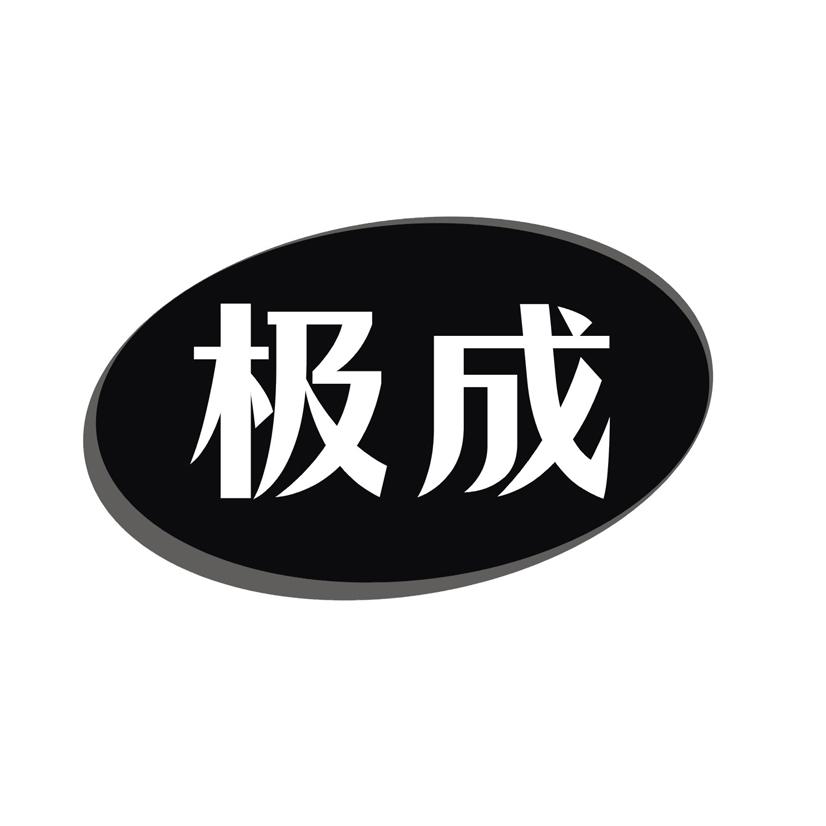 极成