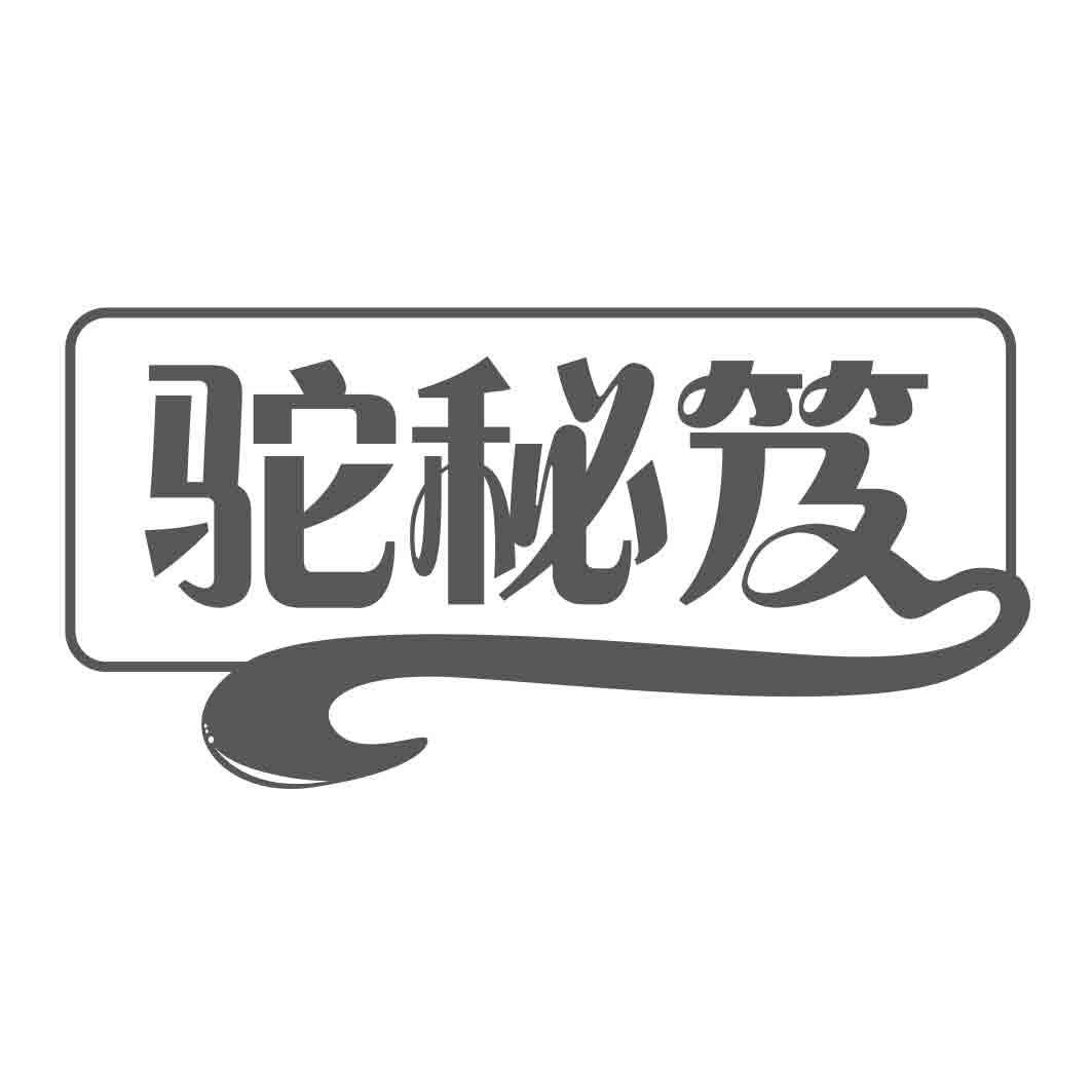 驼秘笈