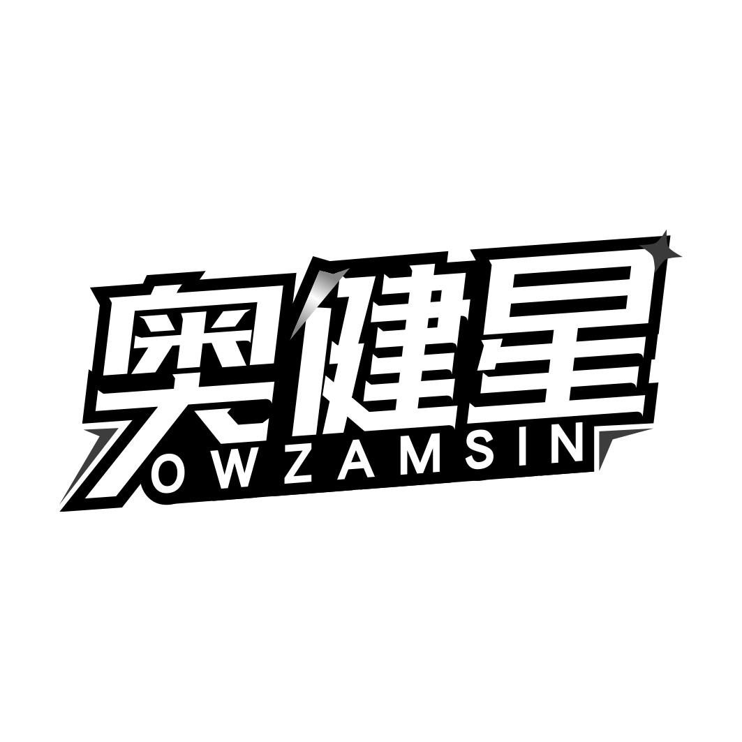 奥健星 OWZAMSIN