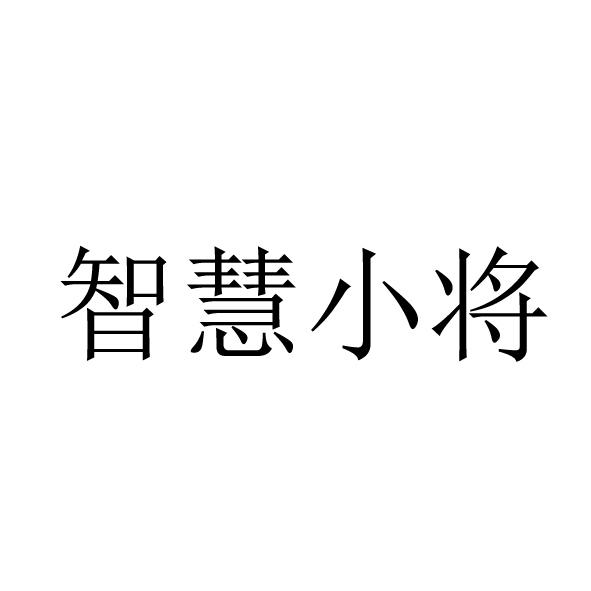 智慧小将
