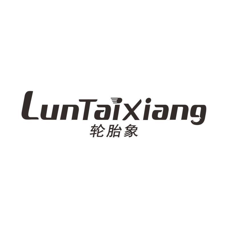 轮胎象