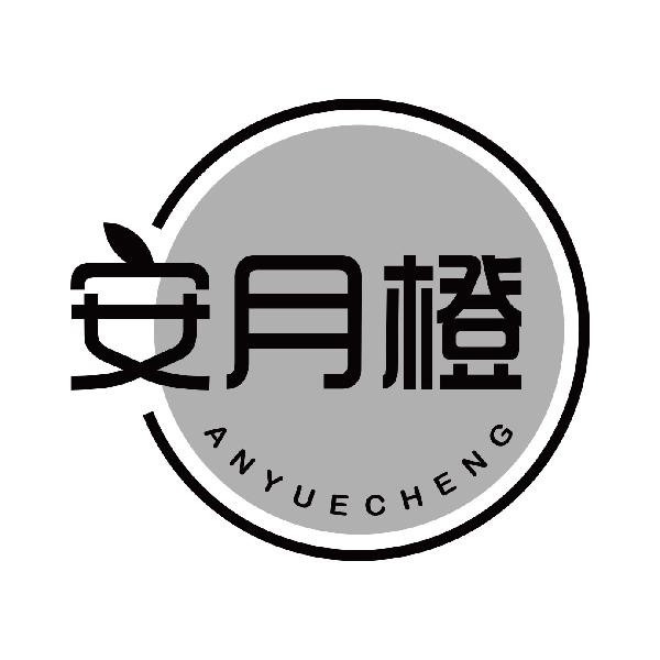 安月橙ANYUECHENG