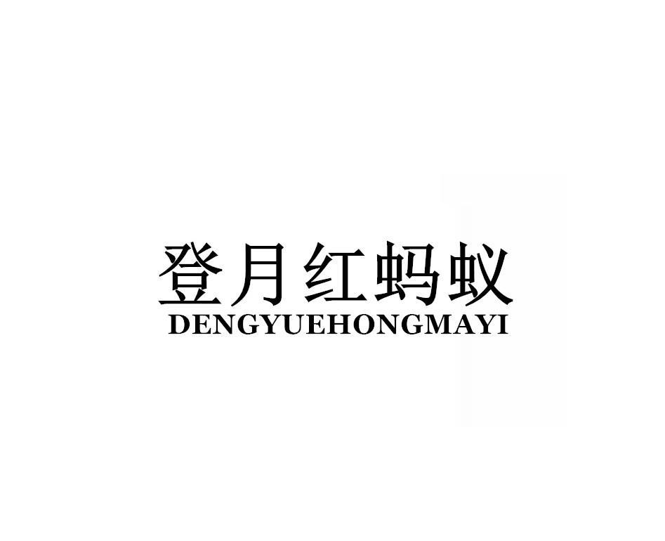 登月红蚂蚁