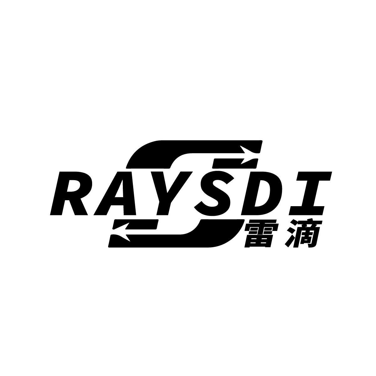 雷滴RAYSDI