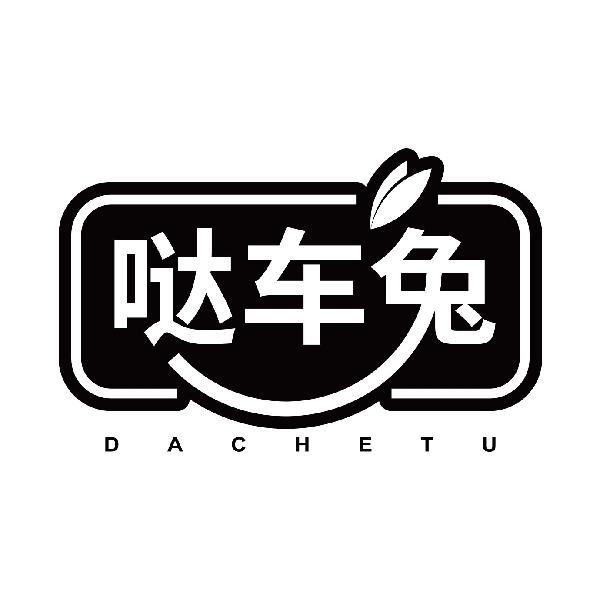 哒车兔
dachetu