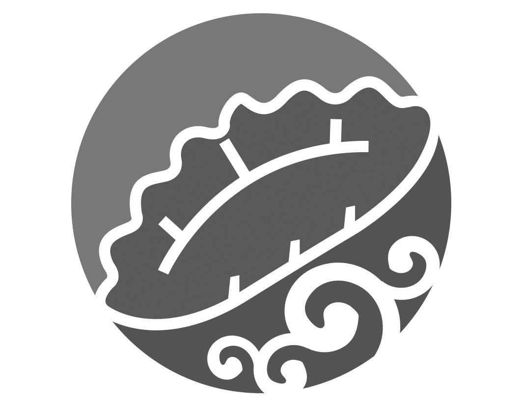 图形