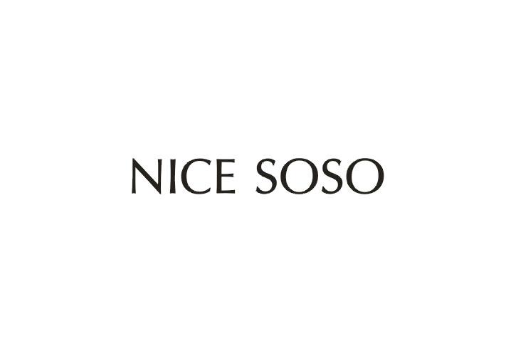NICE SOSO