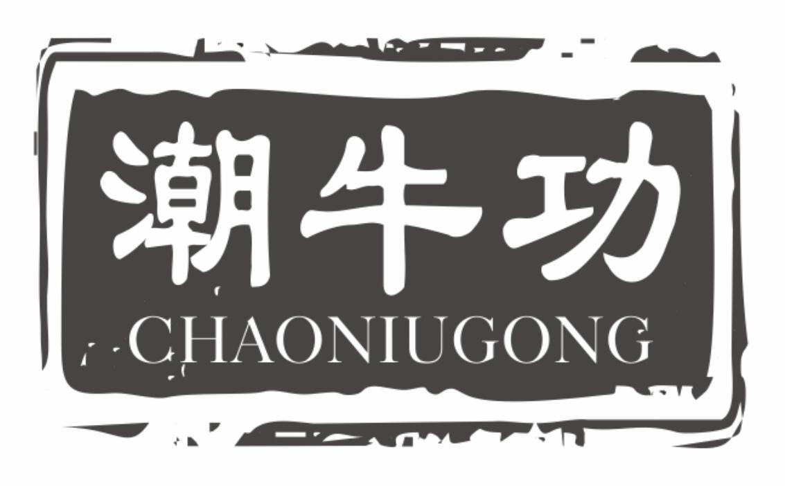 潮牛功 CHAONIUGONG