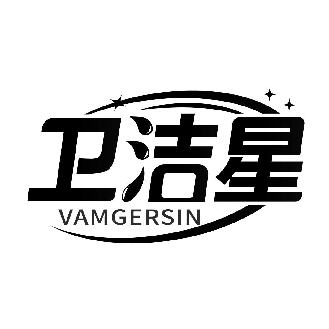 卫洁星 VAMGERSIN