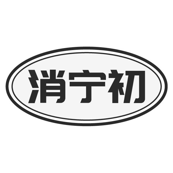 消宁初