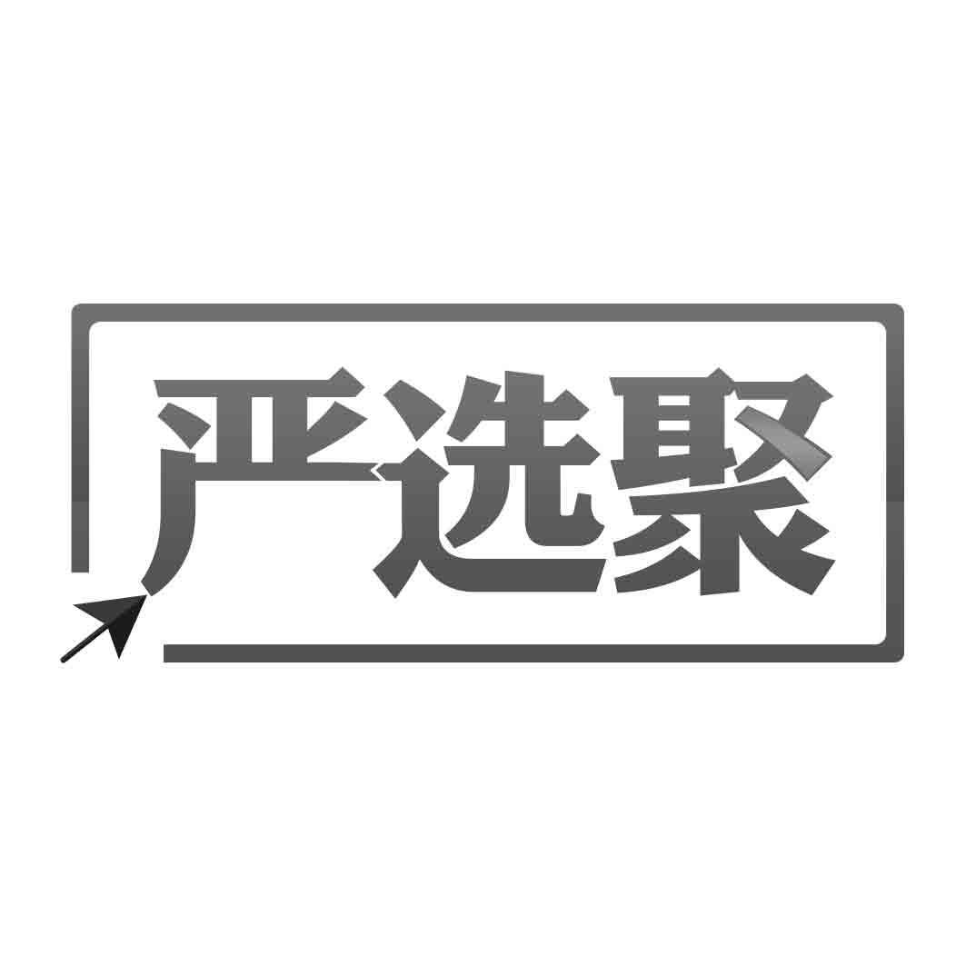 严选聚
