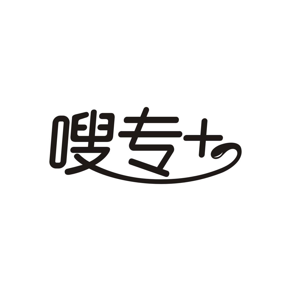  嗖专+