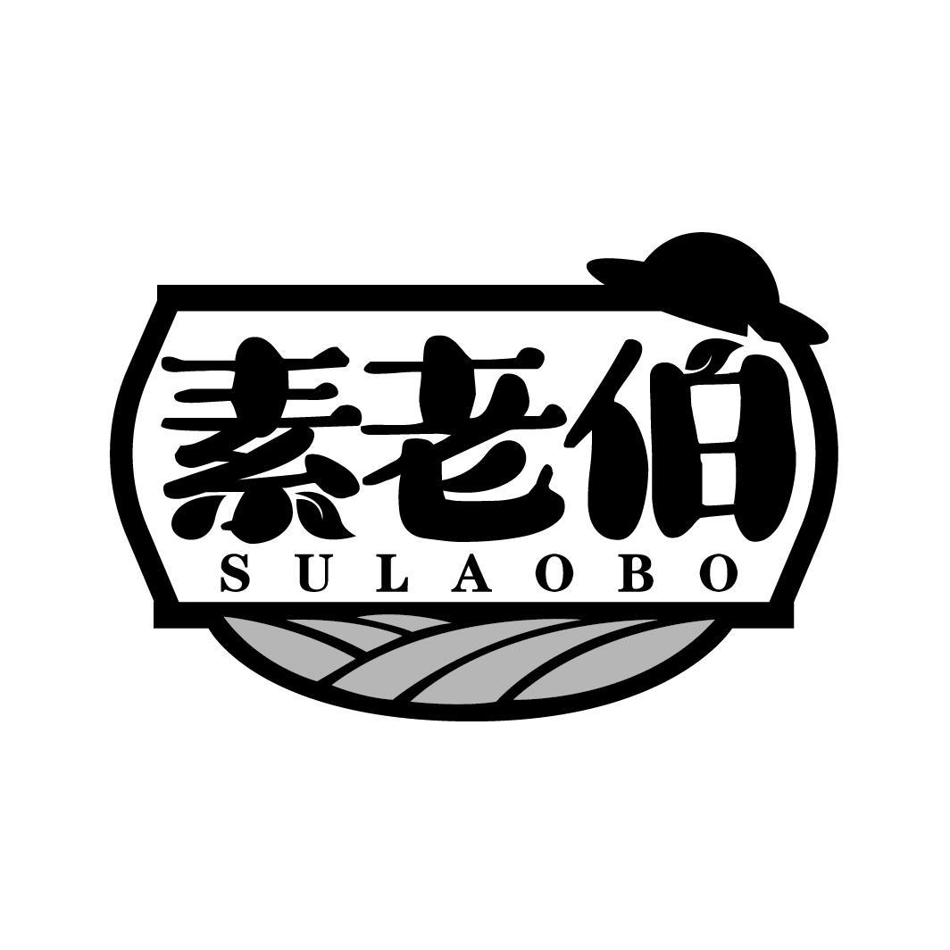 素老伯
SULAOBO