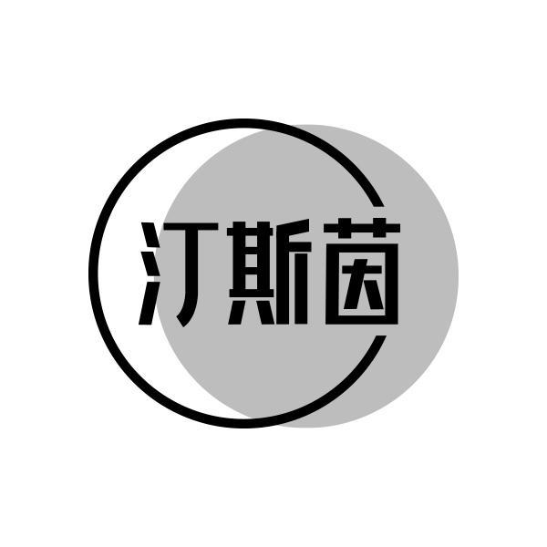 汀斯茵