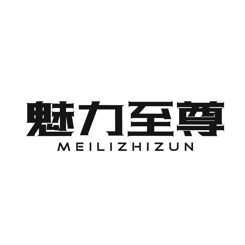 魅力至尊