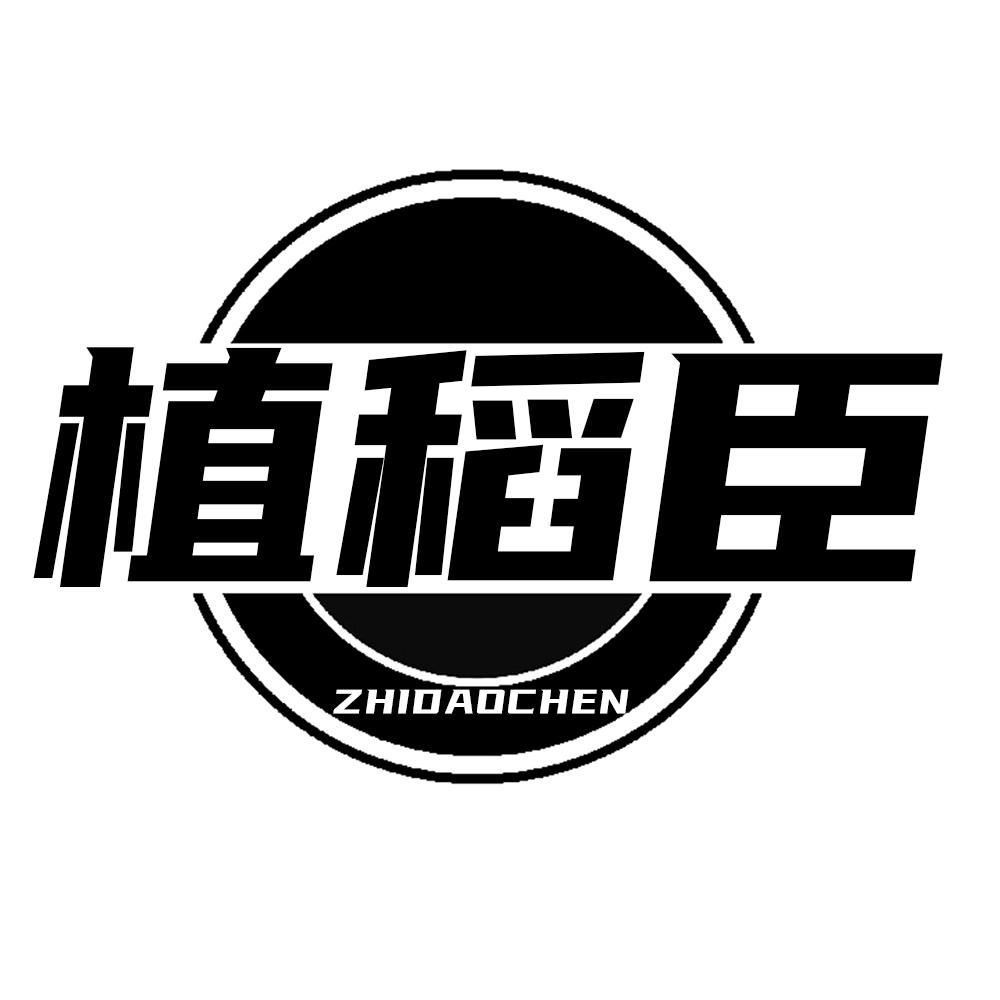 植稻臣