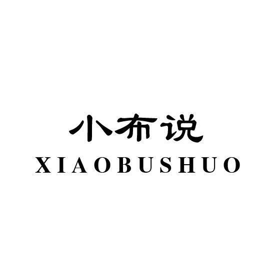 小布说