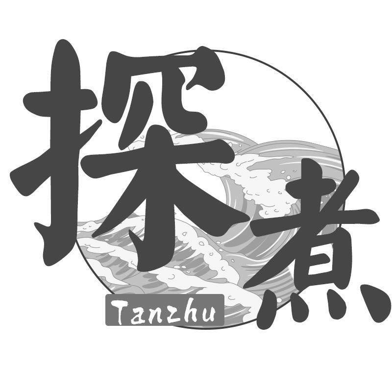 探煮