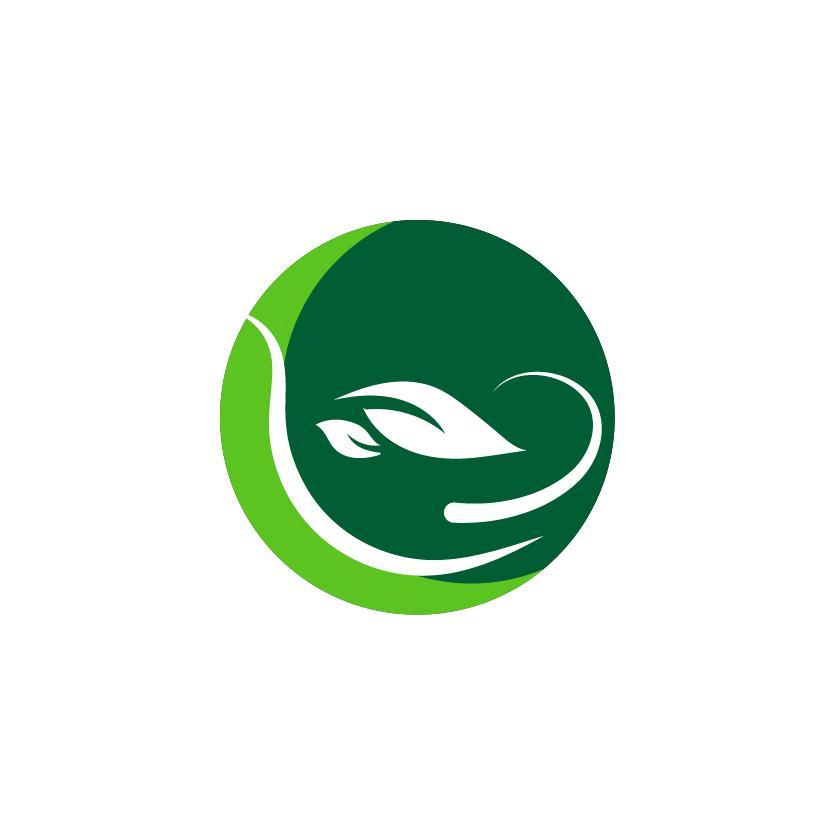 图形（叶子）
