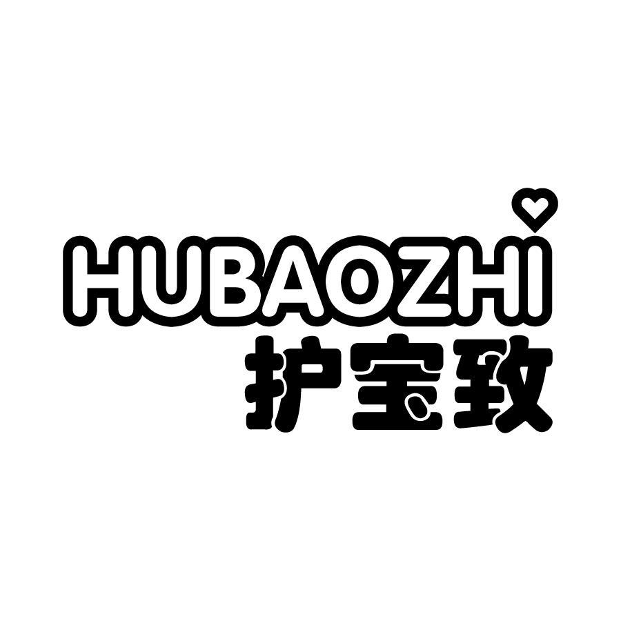 护宝致
