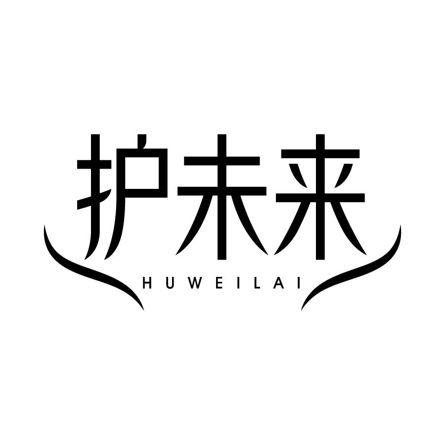 护未来 