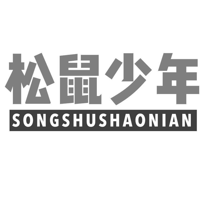 松鼠少年
