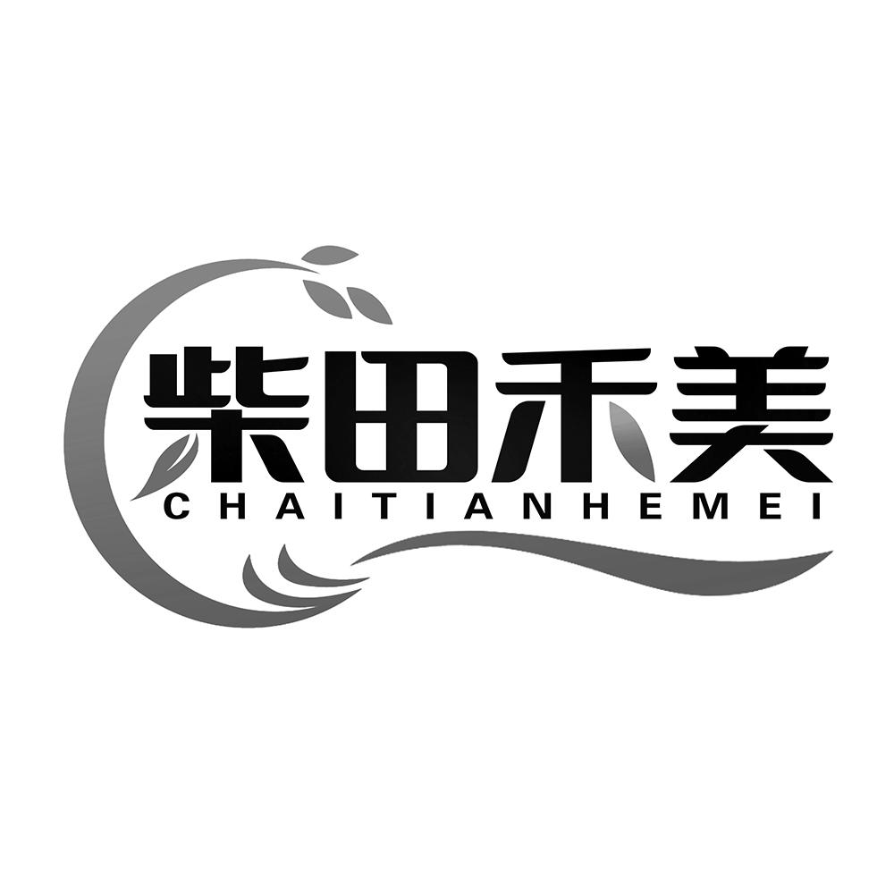 柴田禾美