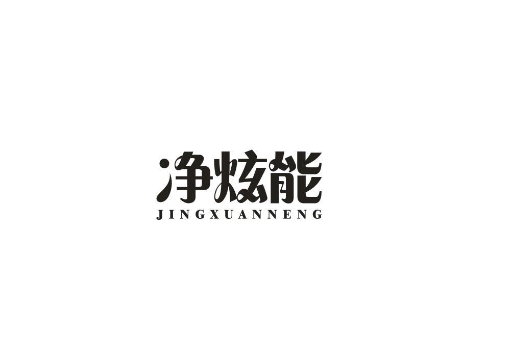 净炫能