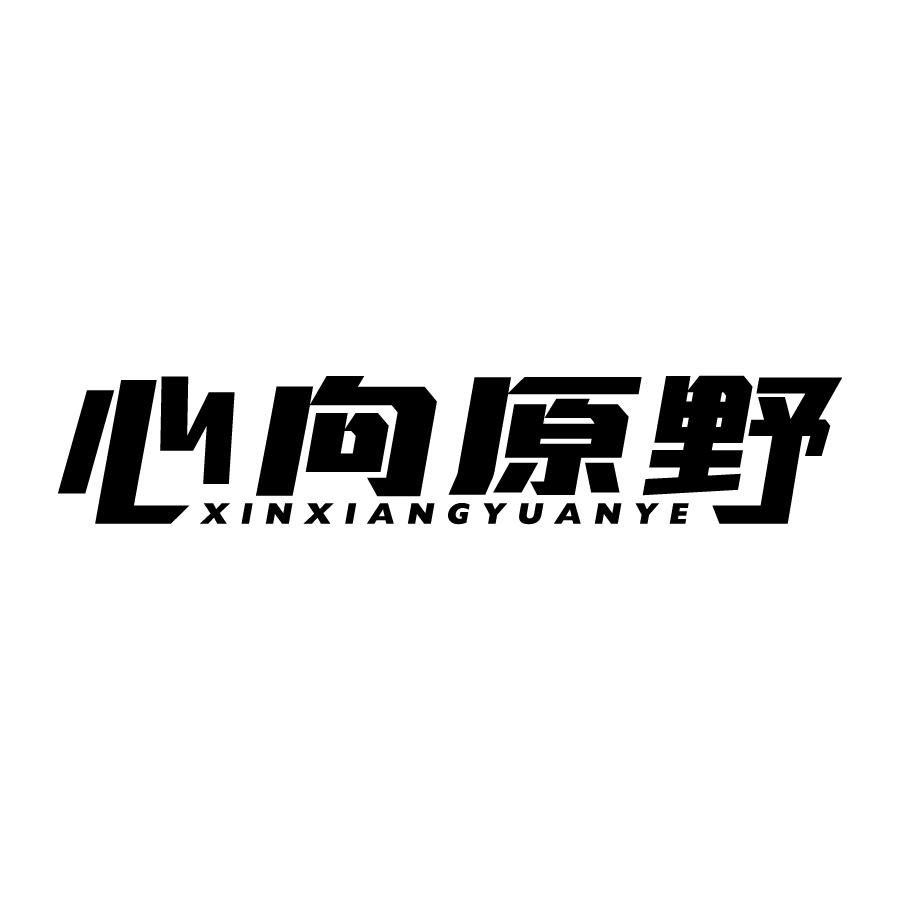 心向原野 
