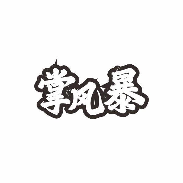 掌风暴