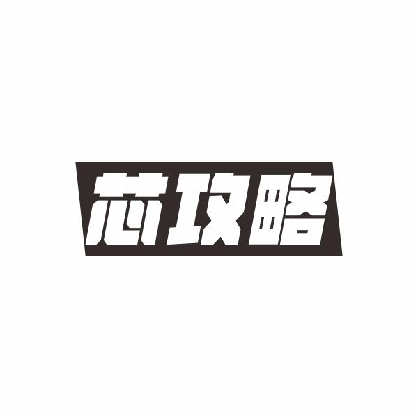 芯攻略