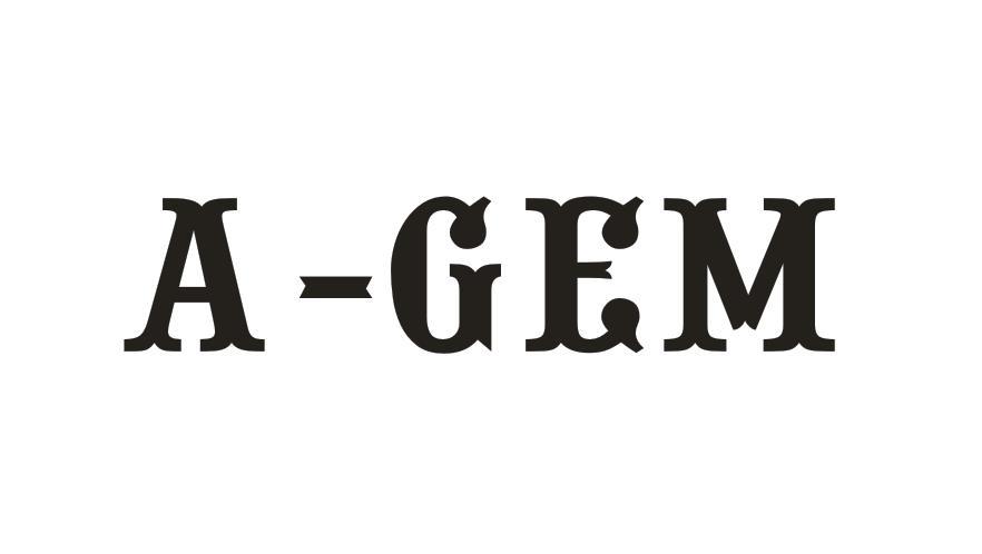 A-GEM