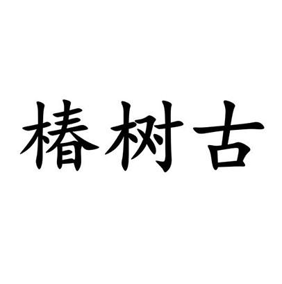 椿树古