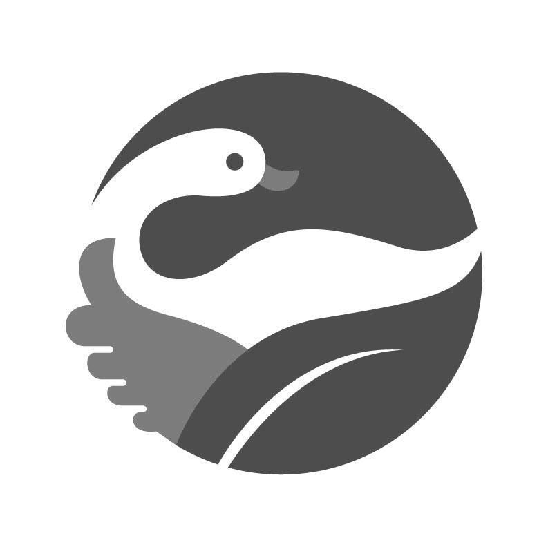 纯图形（鸭叶子）